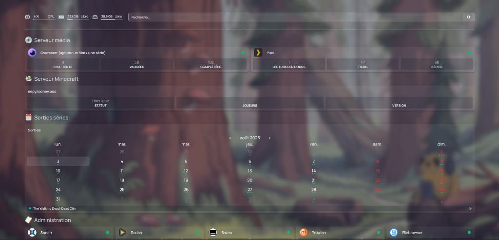 Tableau de Bord du Serveur Domestique